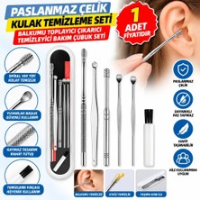 NW NessiWorld If 6 Parça Paslanmaz Çelik Kulak Balmumu Toplayıcı Çıkarıcı Temizleyici Bakımı Çubuk Seti
