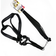 Str Store Köpek Uz.+Göğüs Tasması Siyah 20MMX120CM