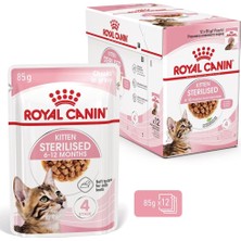 Str Store Kitten Sterilised Gravy Yavru Kedi Konservesi, 12X85 G