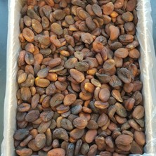 Kayısı Center Toptan Gün Kurusu Küçükboy Kayısı 10 kg