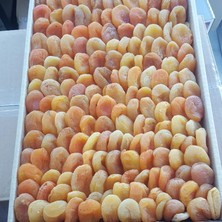 Kayısı Center Toptan Ekonomik Sarı Kayısı 10KG