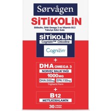 Sorvagen Sitikolin Omega 3 İçeren Takviye Edici Gıda 30 Kapsül