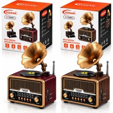 Shopwave Solar - Ibreli̇ Gramafon Radyo - Retro Am - Fm - Sw USB - Type-C Sarjli Bt - Tf - USB Speaker YG-702