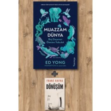 Domingo Yayınevi Muazzam Dünya + Dönüşüm