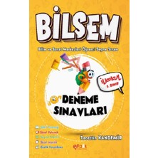 Fark Yayınları Bilsem Ilkokul 1. Sınıf (Bilim ve Sanat Merkezleri Öğrenci Seçme Sınavı)