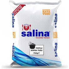 Salina Tuz 750GR (24'li Paket)