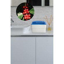 Trendexa 1 Kilogram Dikdörtgen, Kırmızı Meyve Kokulu - Nem Alıcı Aparat + Tablet