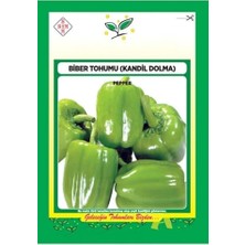 Trendexa Dolma Biber Tohumu 1 Paket 10 G (2.800 Adet Tohum) Dolmalık Biber Tohumu Sebze Tohumu Çeşitleri