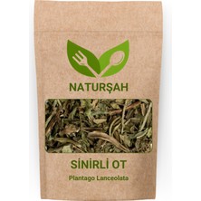 Naturşah Sinirli Ot 1 kg / Plantago Lanceolata
