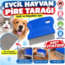 Efnaz Style Evcil Hayvan Kedi Köpek Pire Tarağı ve Köpek Gözyaşı Lekesi Tarağı(Adet Fiyatıdır)