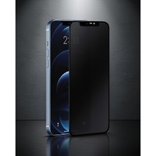 Astraltech Samsung Galaxy S24 3D Antistatik Hayalet Cam Ekran Koruyucu