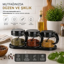 Emilahome Lily Cam Baharatlık 3'lü Set Siyah