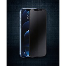 Astraltech Apple Iphone 16 Plus 3D Antistatik Hayalet Cam Ekran Koruyucu