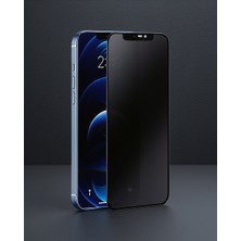 Astraltech Apple Iphone 13 Pro Max 3D Antistatik Hayalet Cam Ekran Koruyucu