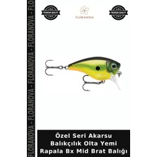 Floranova Özel Seri Akarsu Balıkçılık Olta Yemi Rapala Bx Mid Brat Balığı