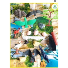 Oyuncak Sahili Hayvan Set 50CM Oyun Alanı Çantalı 19LU Tavuskuşu Oyuncak Kartal Papağan Kuğu Şahin Baykuş Leylek