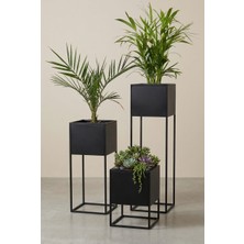 FORMVİA Modern Metal Saksılık 3'lü Set - Kademeli Salon Çiçekliği & Ev/ofis Saksı Standı