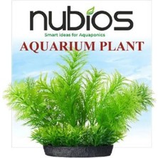 Nubios Kare Tabanlı Plastik Bitki 10 cm