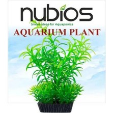 Nubios Kare Tabanlı Plastik Bitki 10 cm