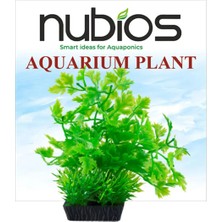 Nubios Zengemtr Plastik Bitki Kare Tabanlı 10 cm (203201) Tekli Karton