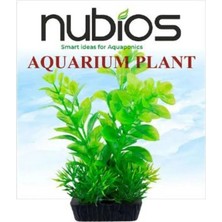 Nubios Kare Tabanlı Plastik Bitki 10 cm