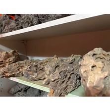 Creaqua Dragon Stone Hardspace Doğal Akvaryum Tasarım Kayası 1kg