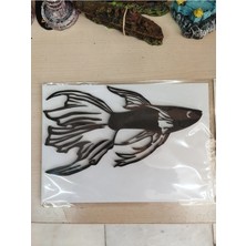 Kles Lepistes (Işıksız) (15CM)
