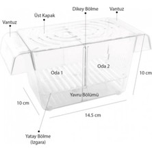 Atlantis Atlantik Ikili Kristal Balık Yavruluk 14,5 cm x 10 cm