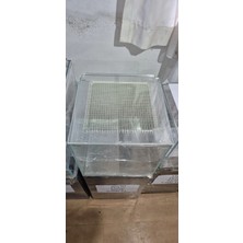 Hobihanem 40X40 Fish Jumping (File) [yeşil]