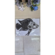 Kles Calvus (Işıksız) (15CM)