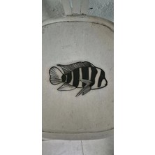 Kles Frontoza (Işıksız) (15CM)