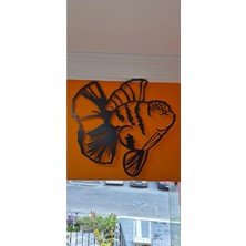 Kles Oranda (Işıklı) (50CM)