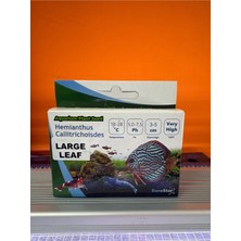 ‎EuroStar Euro Star Bitki Tohumu (Hemianthus Callitrichoisdes) L