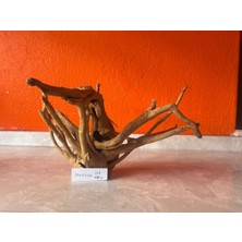 Hobihanem Yati Kökü (NO:338) [37X15X23H]