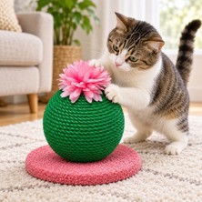 Str Store Dekoratif Kedi Tırmalama Oyuncağı, Halat Sarımlı Kaktüs Tasarım, Tabanlı Kedi Tırmalama ve Oyun Ürünü (Yeşil-Pembe Çiçekli)