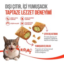 Str Store Kedi Crunch Ödül Catnipli & Tavuklu 60G