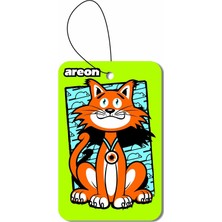 Str Store Mao Mao Oto Araç Kokusu
