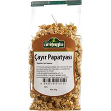 aklow akyoleticaret Çayır Papatyasi 60 G