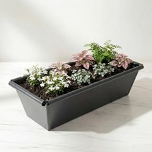 Kazan Hobi Metal Dikdörtgen Balkon Saksılığı - 53 cm Paslanmaz Galvaniz Dekoratif Yatay Çiçeklik (Antrasit)