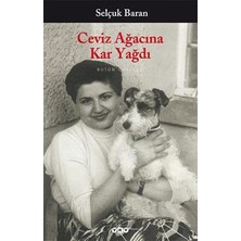 Yapı Kredi Yayınları Ceviz Ağacına Kar Yağdı