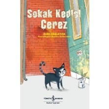İş Bankası Kültür Yayınları Sokak Kedisi Çerez