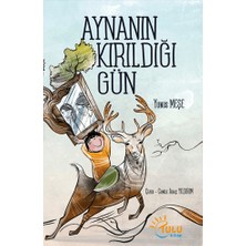 Tulu Kitap Aynanın Kırıldığı Gün