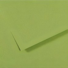 Alex 50*70 160GR Açık Yeşil Fon Kartonu ALX-1009 100'LÜ Paket