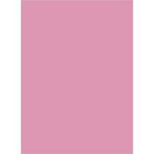 Herboy Fon Kartonu 50*70 160GR Pembe No:19 100'LÜ Paket