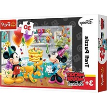 Şanal 30 Birthday Cake, Disney Characters