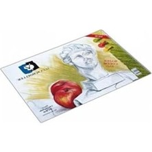 Şanal Schoeller A.SPR.RSM.120.52 Resim Defteri 35X50 SPİRALLİ.120 gr 40YP. ALX-0787