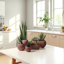 Defne Store Saksı, Dekoratif Seti 5 Parça Modern Saksılar, Kaktüs Sukulent ve Dekoratif Çiçek Saksıları (Pembe)