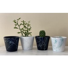 Defne Store Topsan Yume Turkuaz Mermer Desenli Siyah ve Beyaz Kaktüs ve Sukulentlik 4'lü Saksı