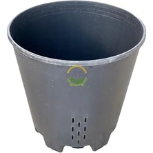 Defne Store 5 Adet Yaban Mersini Yetiştirme Saksısı 45 L