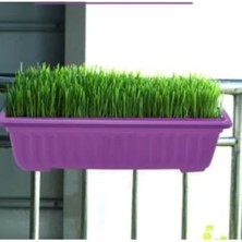 Defne Store 50×15 Balkon Saksı'sı